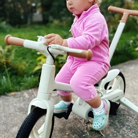 Convertible Learning Bike