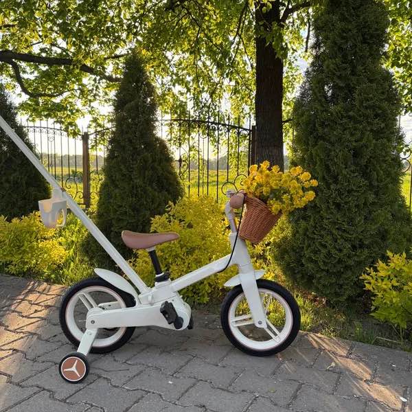 Convertible Learning Bike