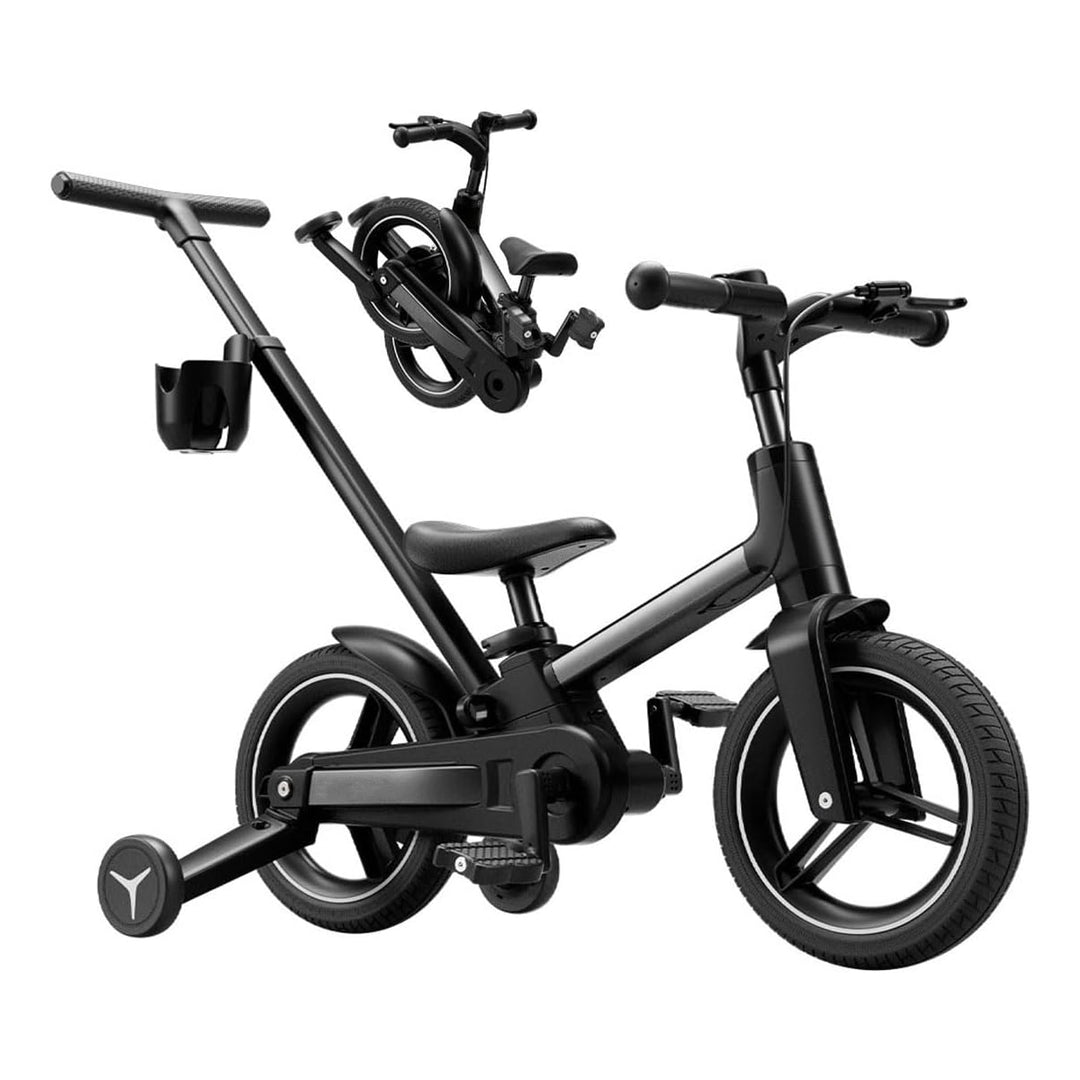 Convertible Learning Bike