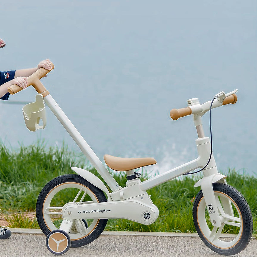 Convertible Learning Bike