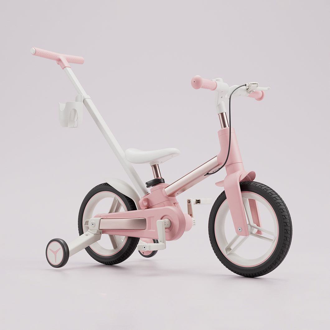 Convertible Learning Bike