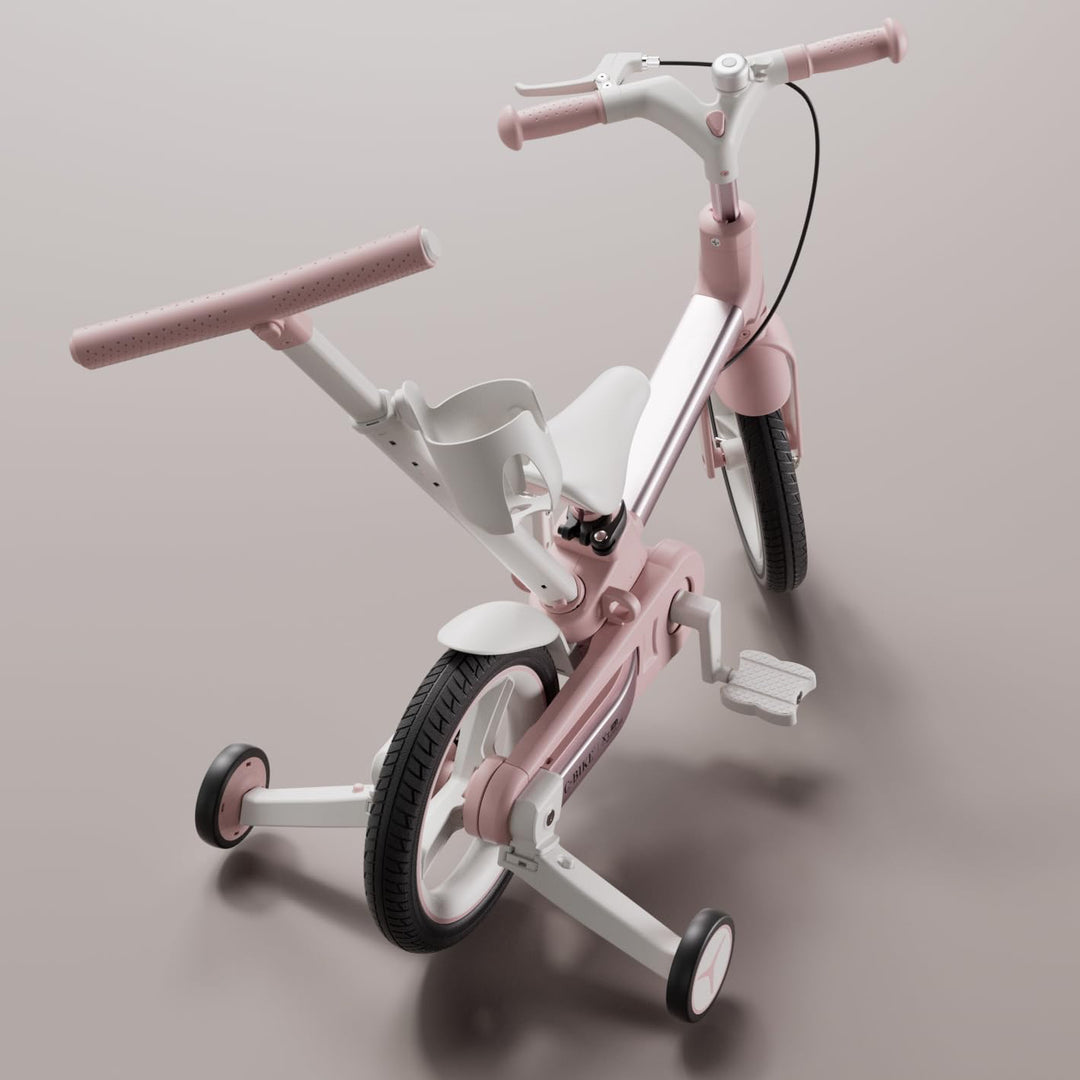 Convertible Learning Bike
