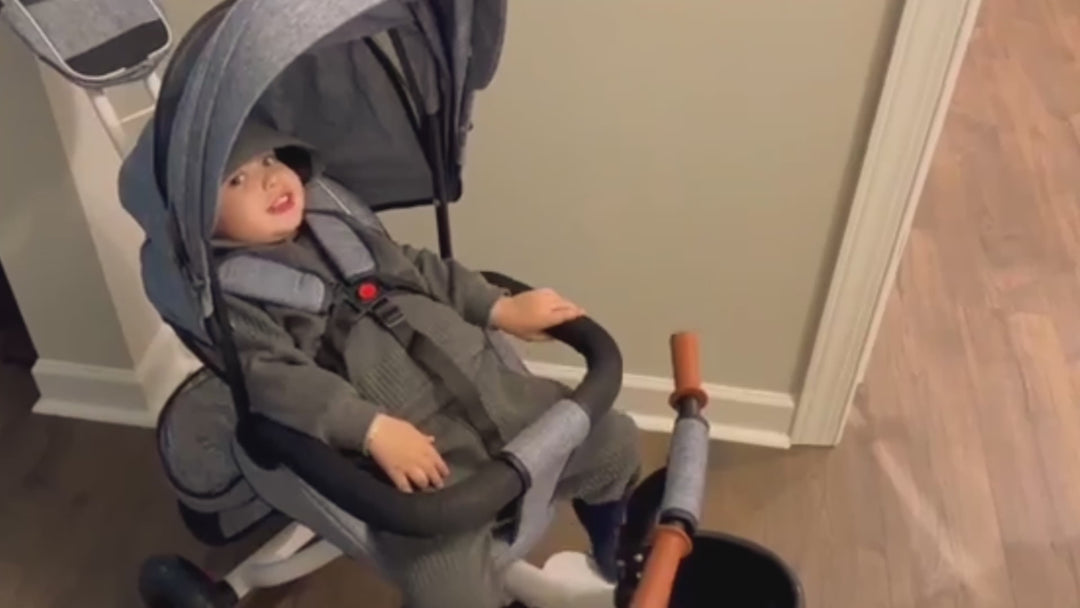 Versatile Tricycle Stroller